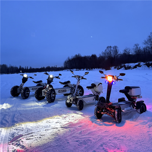 Electric motorcycle series